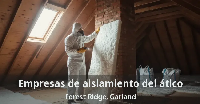 Empresas de aislamiento del ático Forest Ridge, Garland - TX Empresas de aislamiento del ático Forest Ridge, Garland - TX