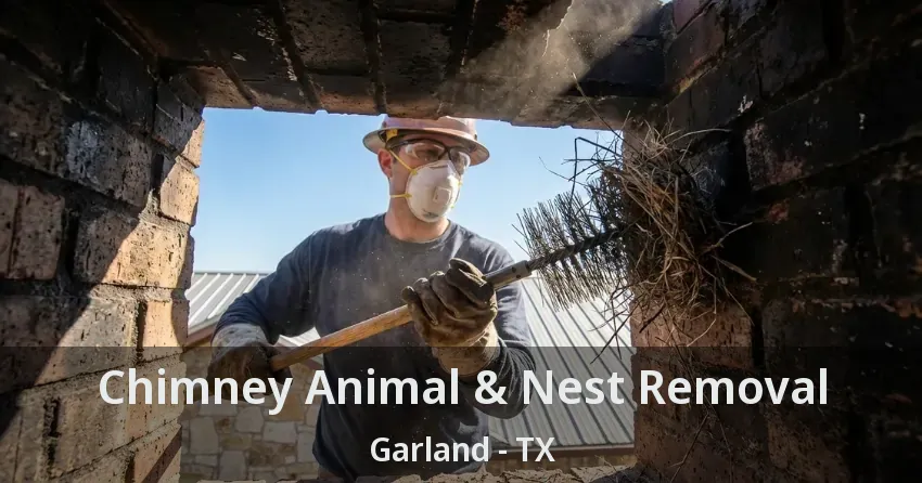 Chimney Animal & Nest Removal Garland - TX