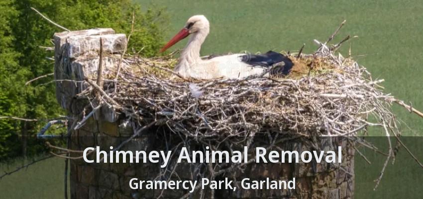 Chimney Animal Removal Gramercy Park, Garland - TX