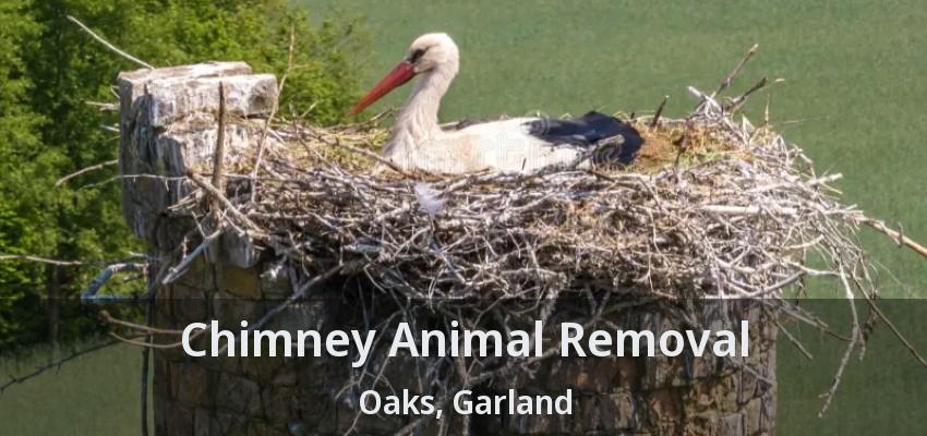 Chimney Animal Removal Oaks, Garland - TX