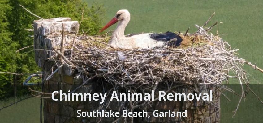 Chimney Animal Removal Southlake Beach, Garland - TX