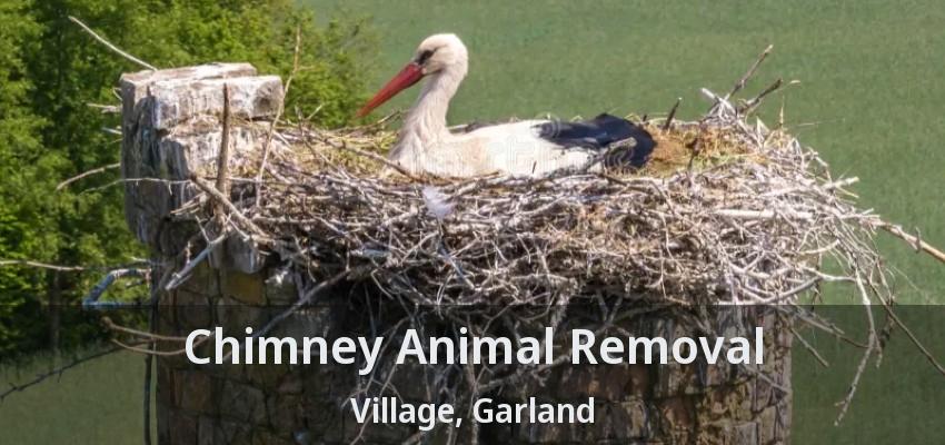 Chimney Animal Removal Village, Garland - TX