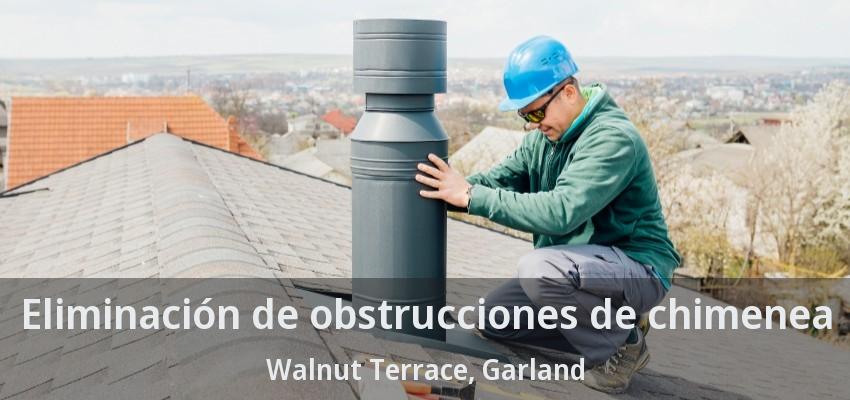 Eliminación de obstrucciones de chimenea Walnut Terrace, Garland - TX