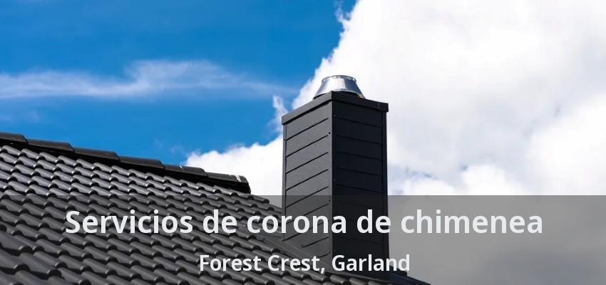 Servicios de corona de chimenea Forest Crest, Garland - TX