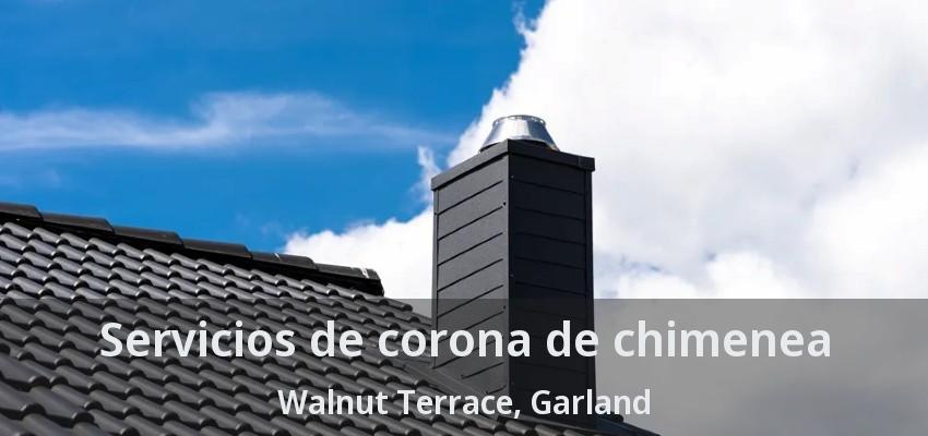 Servicios de corona de chimenea Walnut Terrace, Garland - TX