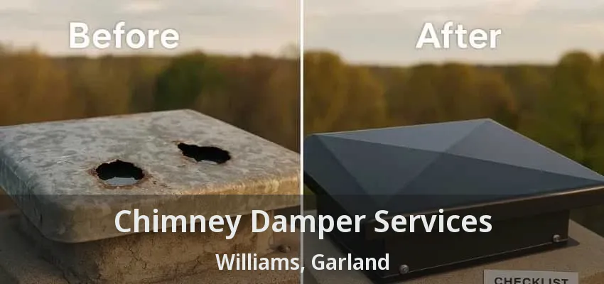 Chimney Damper Services Williams, Garland - TX