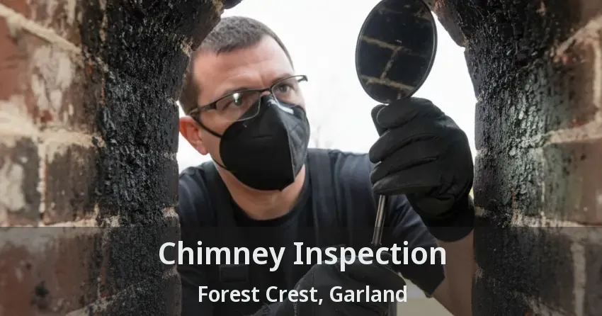 Chimney Inspection Forest Crest, Garland - TX