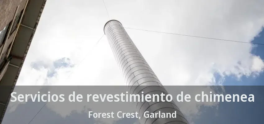 Servicios de revestimiento de chimenea Forest Crest, Garland - TX Servicios de revestimiento de chimenea Forest Crest, Garland - TX