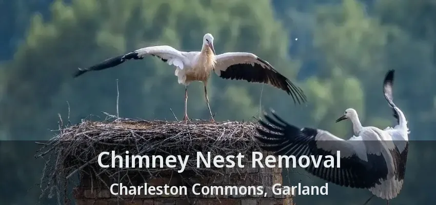 Chimney Nest Removal Charleston Commons, Garland - TX