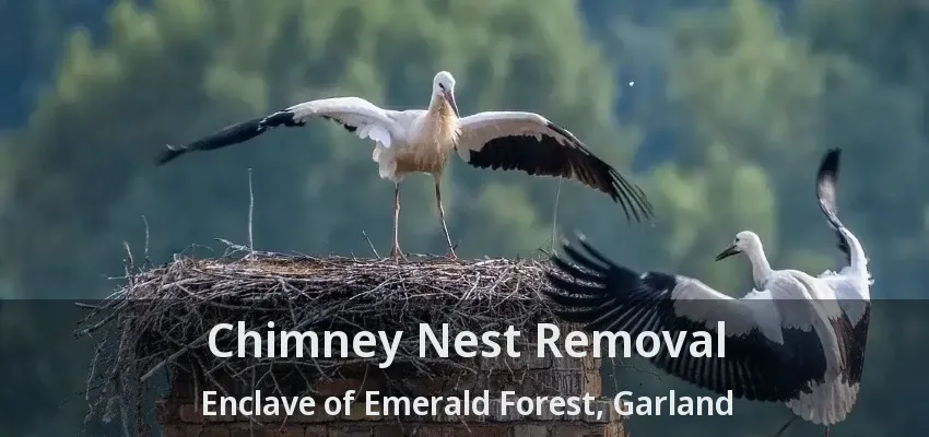 Chimney Nest Removal Enclave of Emerald Forest, Garland - TX