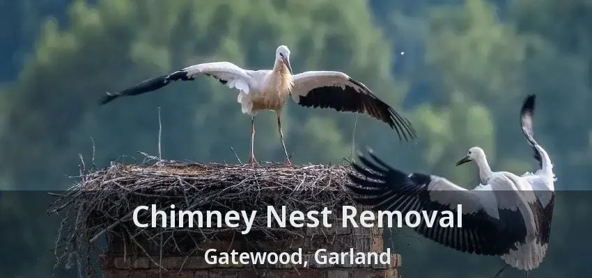 Chimney Nest Removal Gatewood, Garland - TX