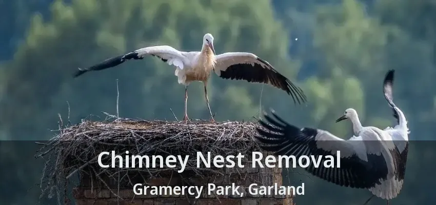 Chimney Nest Removal Gramercy Park, Garland - TX