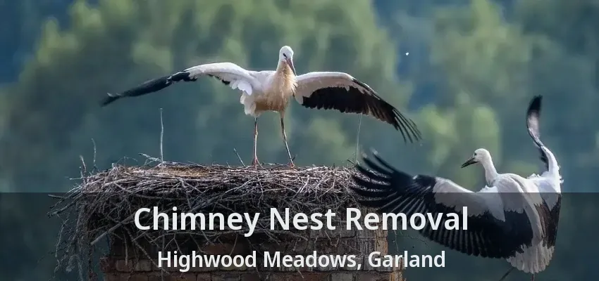 Chimney Nest Removal Highwood Meadows, Garland - TX