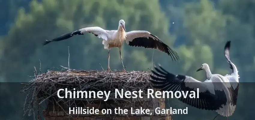 Chimney Nest Removal Hillside on the Lake, Garland - TX