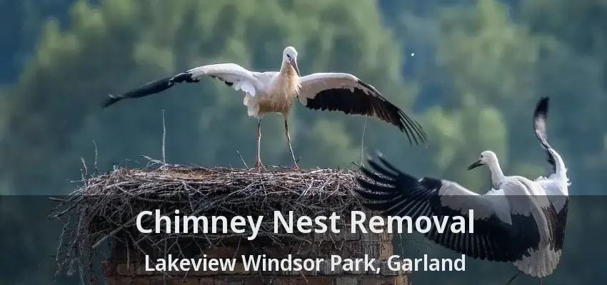 Chimney Nest Removal Lakeview Windsor Park, Garland - TX