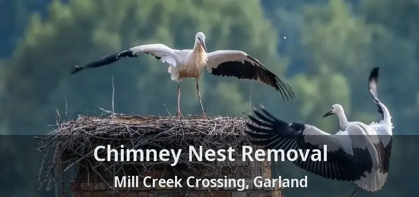 Chimney Nest Removal Mill Creek Crossing, Garland - TX