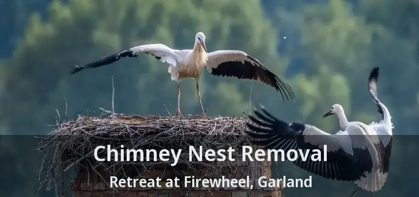 Chimney Nest Removal Retreat at Firewheel, Garland - TX