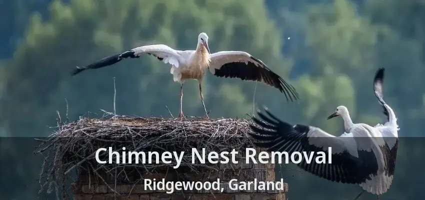 Chimney Nest Removal Ridgewood, Garland - TX