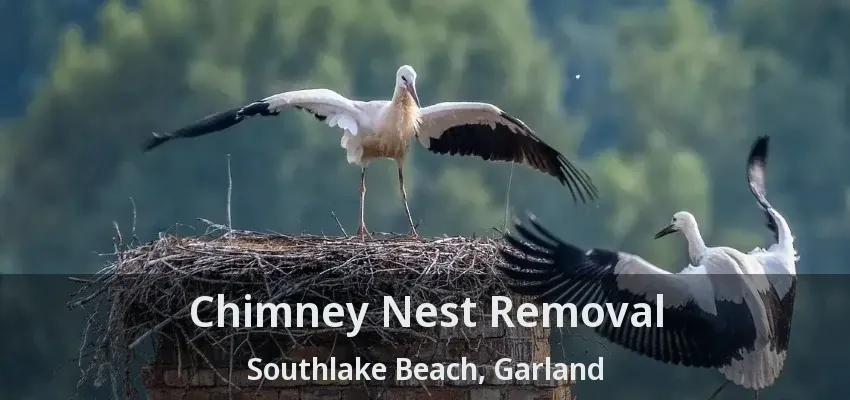 Chimney Nest Removal Southlake Beach, Garland - TX