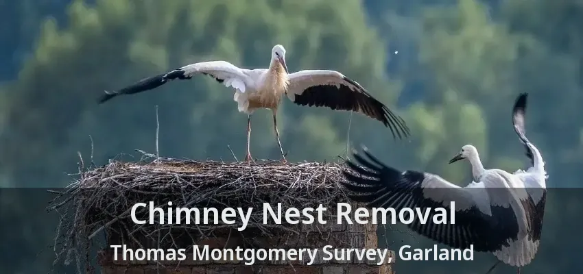 Chimney Nest Removal Thomas Montgomery Survey, Garland - TX