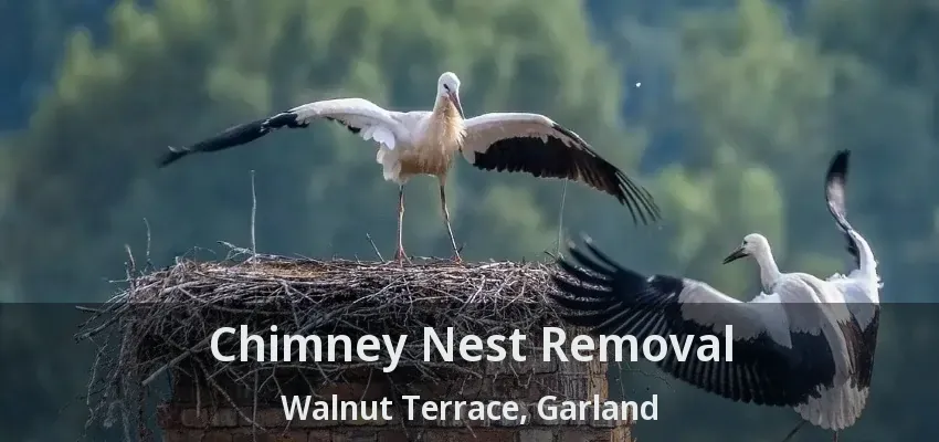 Chimney Nest Removal Walnut Terrace, Garland - TX