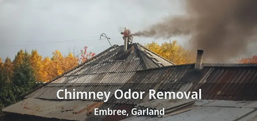 Chimney Odor Removal Embree, Garland - TX