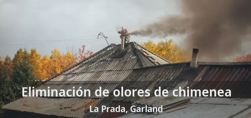 Eliminación de olores de chimenea La Prada, Garland - TX