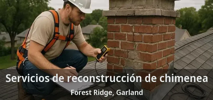 Servicios de reconstrucción de chimenea Forest Ridge, Garland - TX