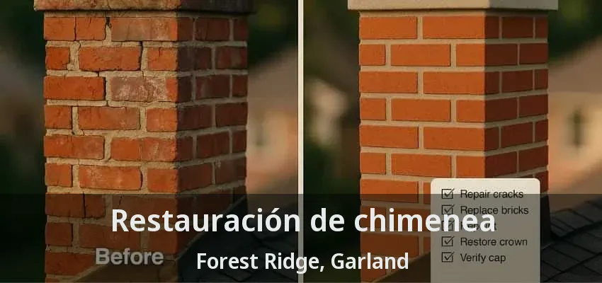 Restauración de chimenea Forest Ridge, Garland - TX