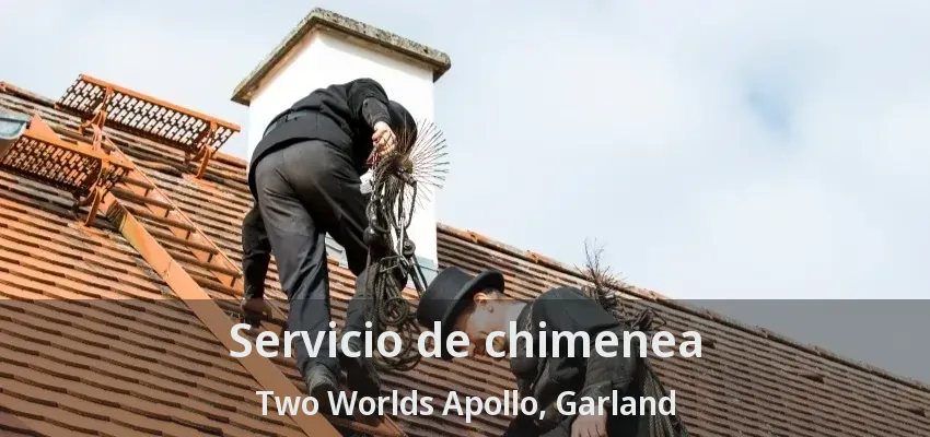 Servicio de chimenea Two Worlds Apollo, Garland - TX