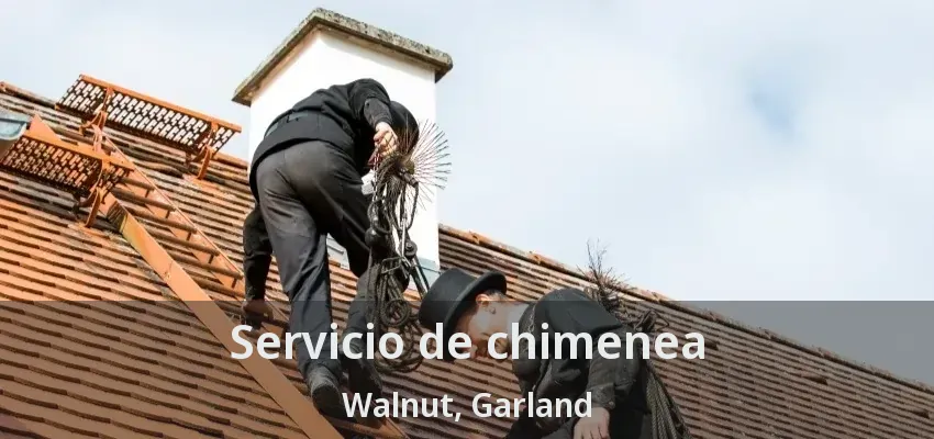 Servicio de chimenea Walnut, Garland - TX