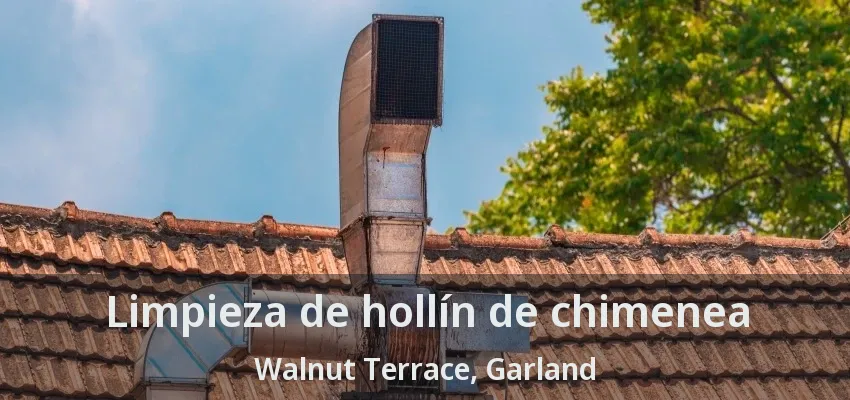Limpieza de hollín de chimenea Walnut Terrace, Garland - TX