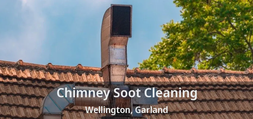 Chimney Soot Cleaning Wellington, Garland - TX