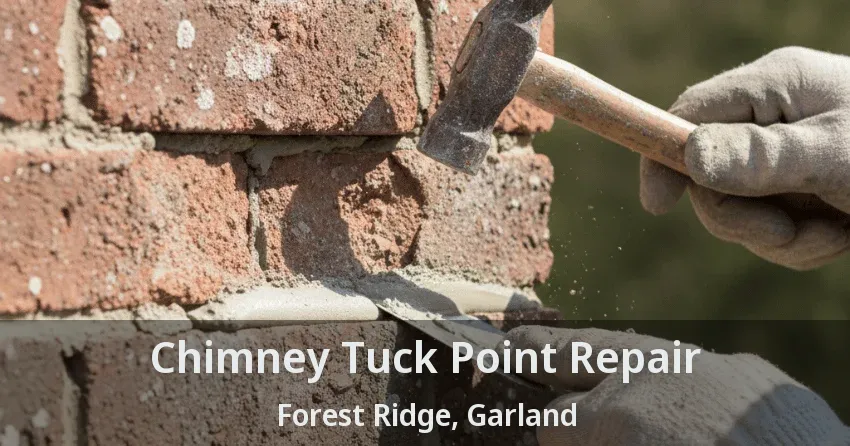 Chimney Tuck Point Repair Forest Ridge, Garland - TX Chimney Tuck Point Repair Forest Ridge, Garland - TX