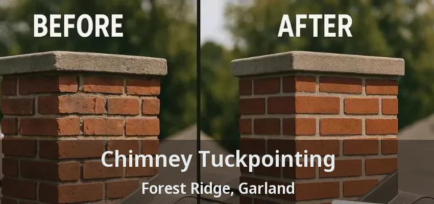 Chimney Tuckpointing Forest Ridge, Garland - TX