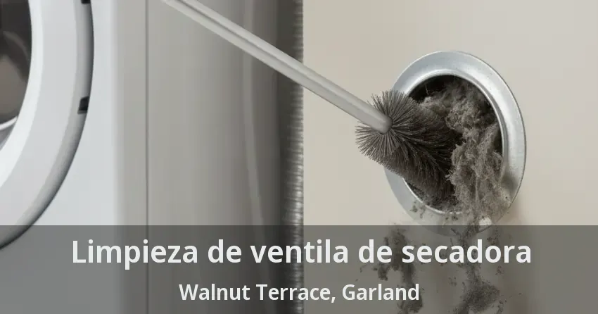 Limpieza de ventila de secadora Walnut Terrace, Garland - TX