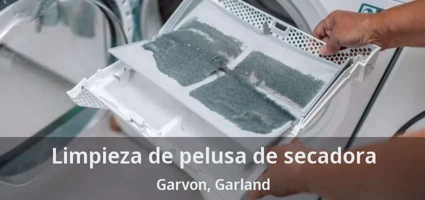 Limpieza de pelusa de secadora Garvon, Garland - TX