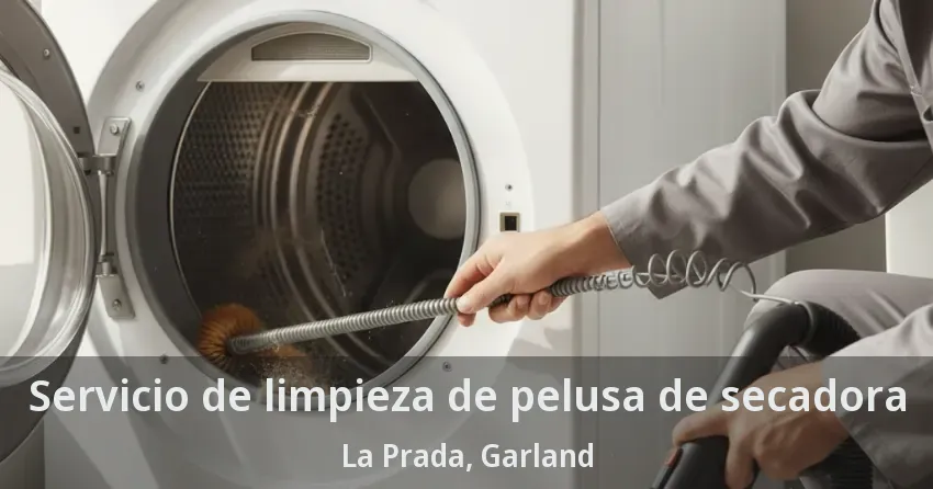 Servicio de limpieza de pelusa de secadora La Prada, Garland - TX