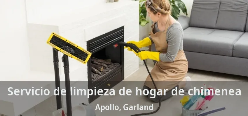 Servicio de limpieza de hogar de chimenea Apollo, Garland - TX