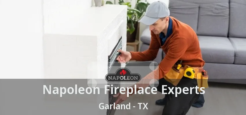 Napoleon Fireplace Experts Garland - TX