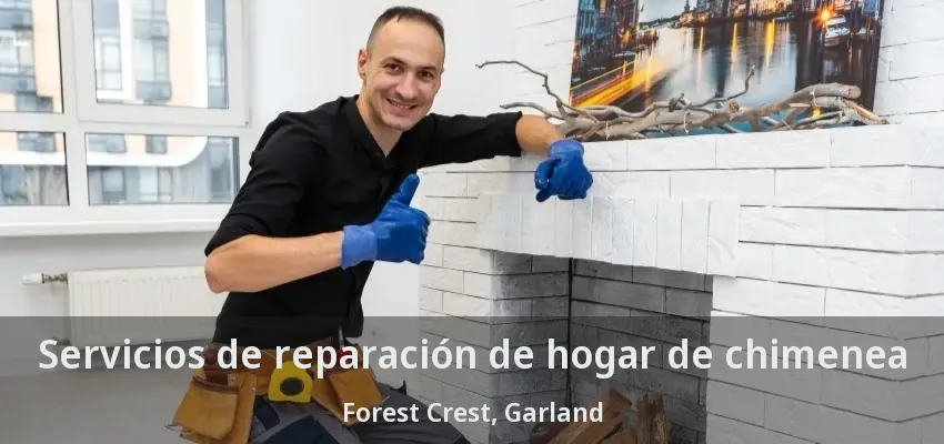 Servicios de reparación de hogar de chimenea Forest Crest, Garland - TX Servicios de reparación de hogar de chimenea Forest Crest, Garland - TX