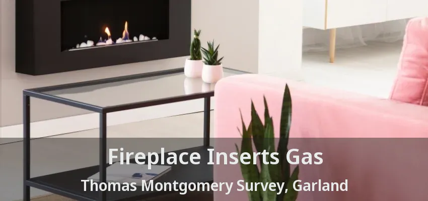 Fireplace Inserts Gas Thomas Montgomery Survey, Garland - TX