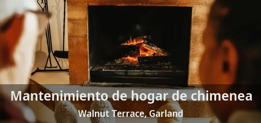 Mantenimiento de hogar de chimenea Walnut Terrace, Garland - TX