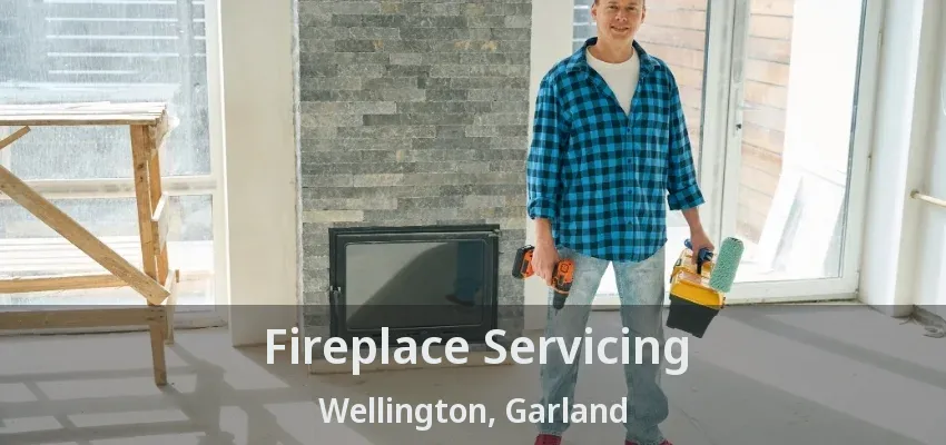Fireplace Servicing Wellington, Garland - TX
