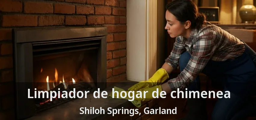 Limpiador de hogar de chimenea Shiloh Springs, Garland - TX