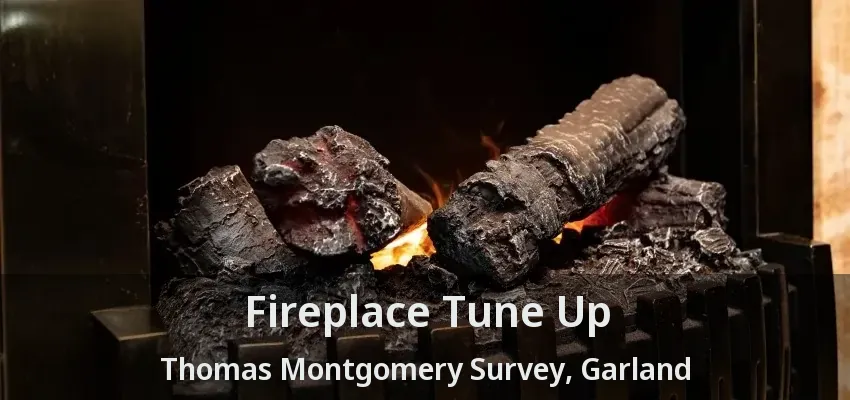 Fireplace Tune Up Thomas Montgomery Survey, Garland - TX