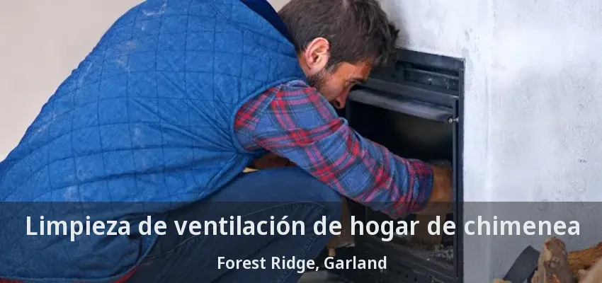 Limpieza de ventilación de hogar de chimenea Forest Ridge, Garland - TX