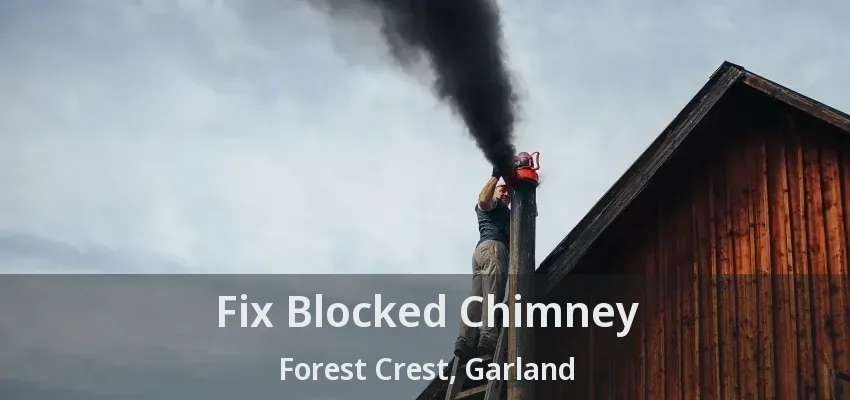 Fix Blocked Chimney Forest Crest, Garland - TX