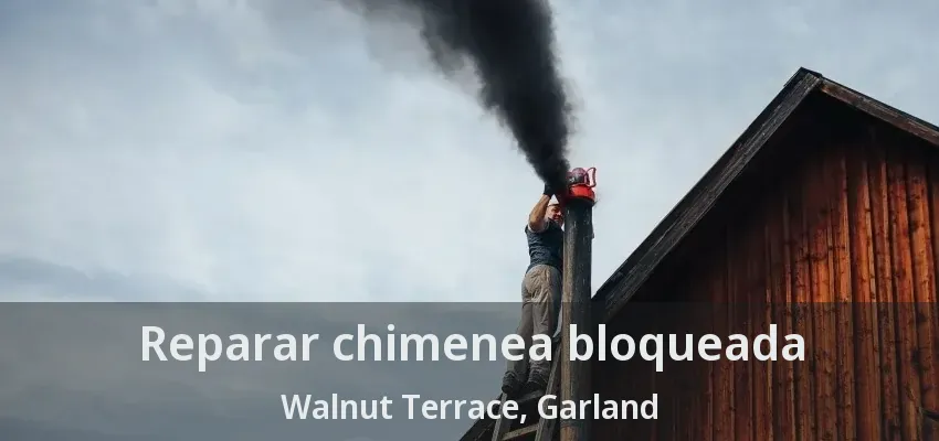Reparar chimenea bloqueada Walnut Terrace, Garland - TX
