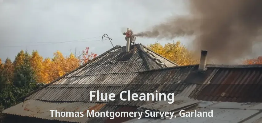 Flue Cleaning Thomas Montgomery Survey, Garland - TX
